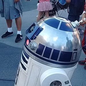 Meet your Posher, Joyous